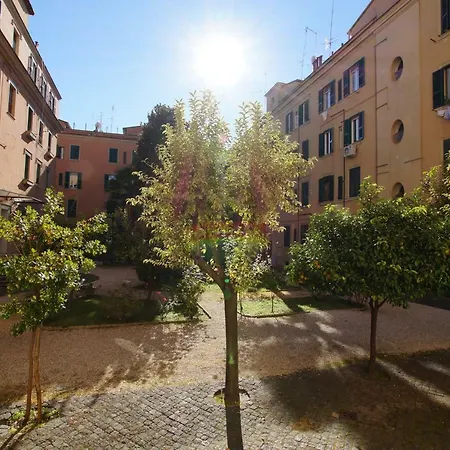 Apartment Genesis Charming